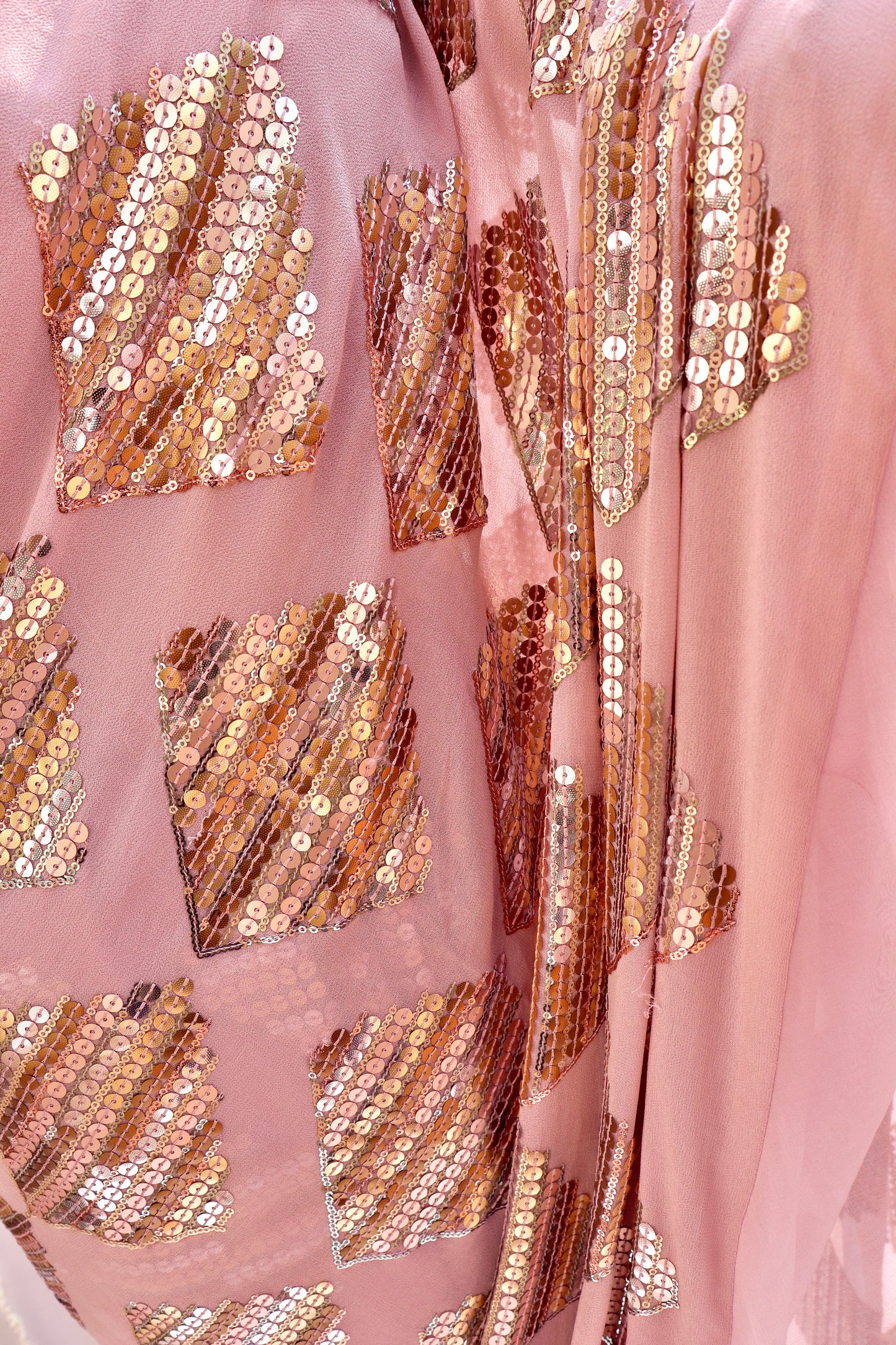 Organza Frill Sequin Saree - Vanesara