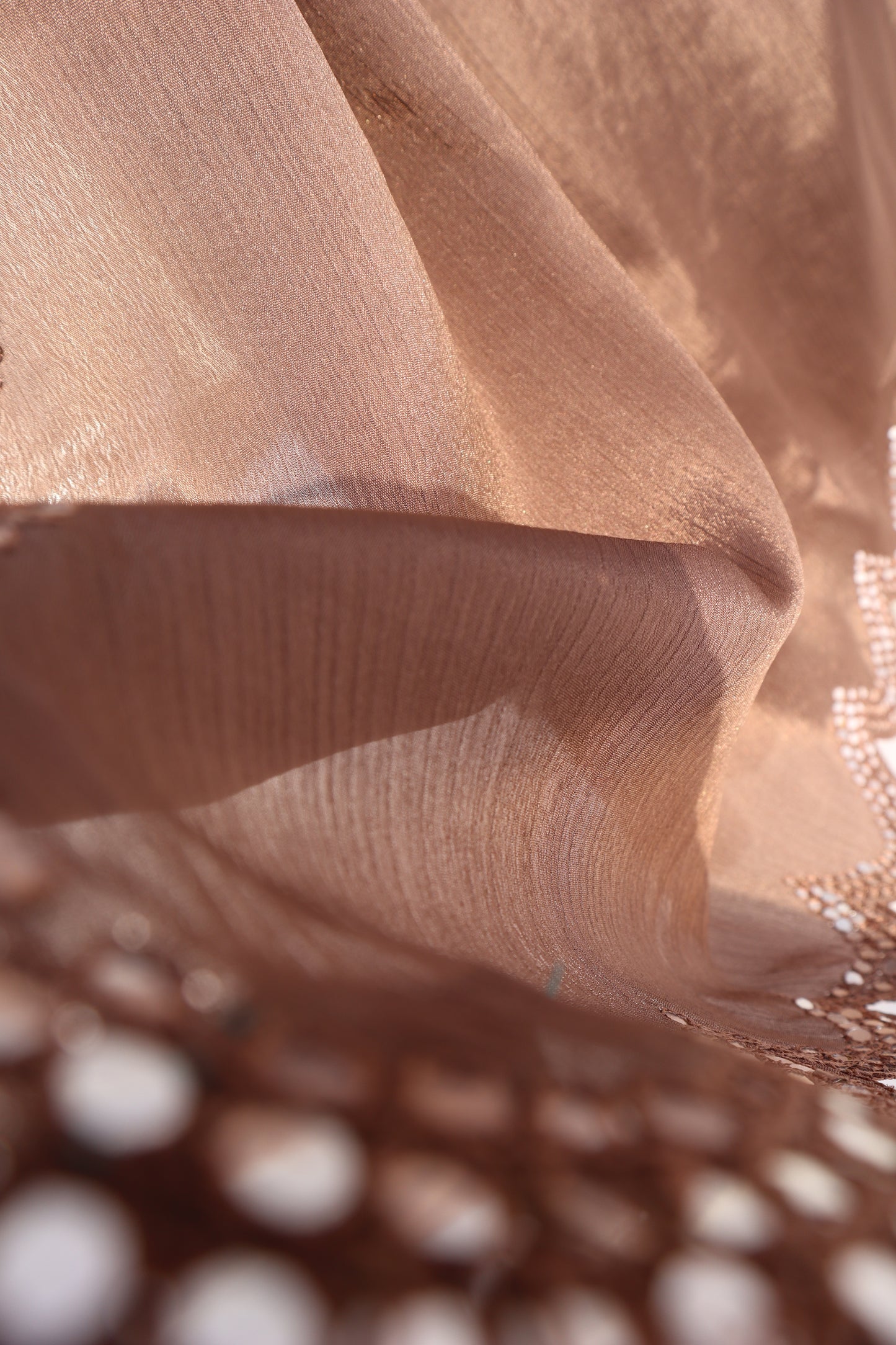 Brown Scalloped Border Saree - Vanesara
