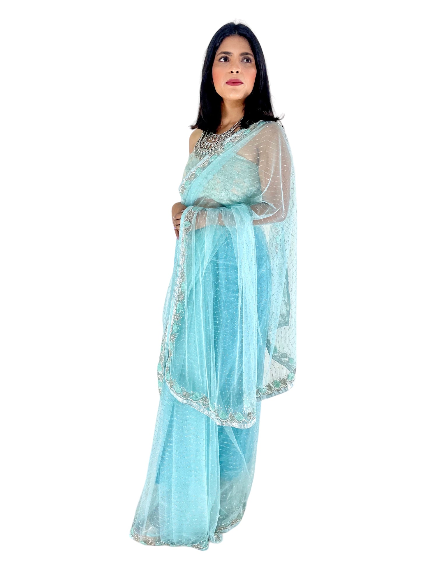 Net Saree with Handwork - Vanesara